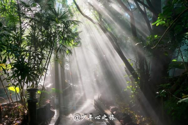 探索吉倒车雷达一直响怎么回事，汽车雷达一直响怎么办？，解决你的疑惑