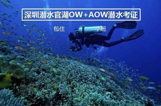 这位女神是谁啊？