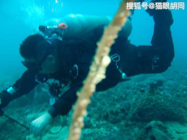 小猫钓鱼游戏龙王版有船