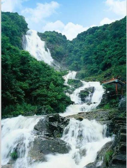 黄金AK闯迷宫