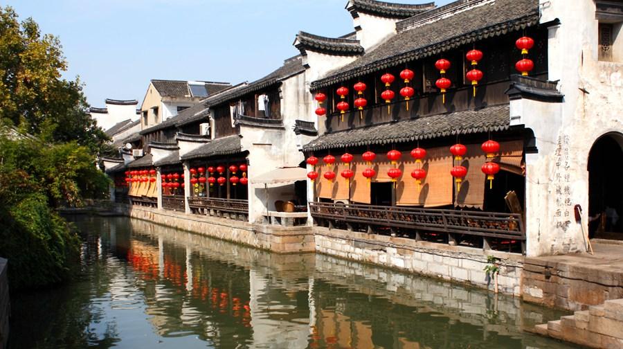 逃离大犀牛出没地