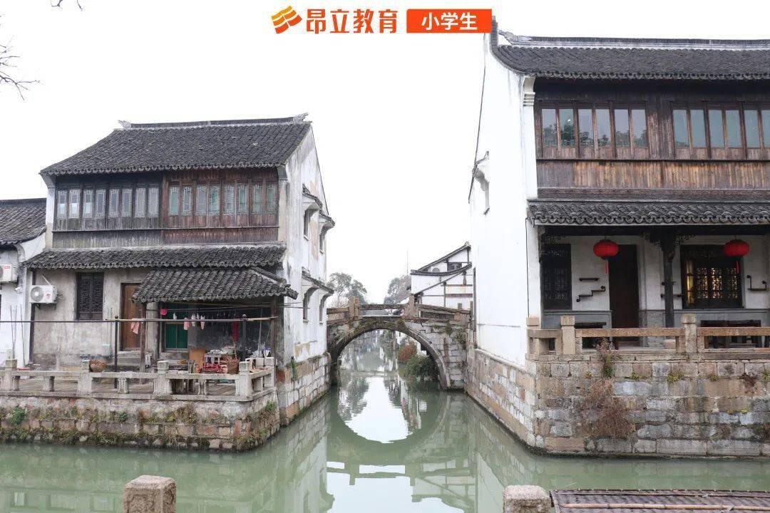 狮子在表演过程中伸出头吓坏观众,马戏团是否应该被取缔?-有问必答平台,解答你的疑问